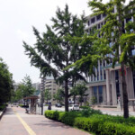 呉市役所前バス停