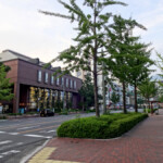 呉・蔵本通り